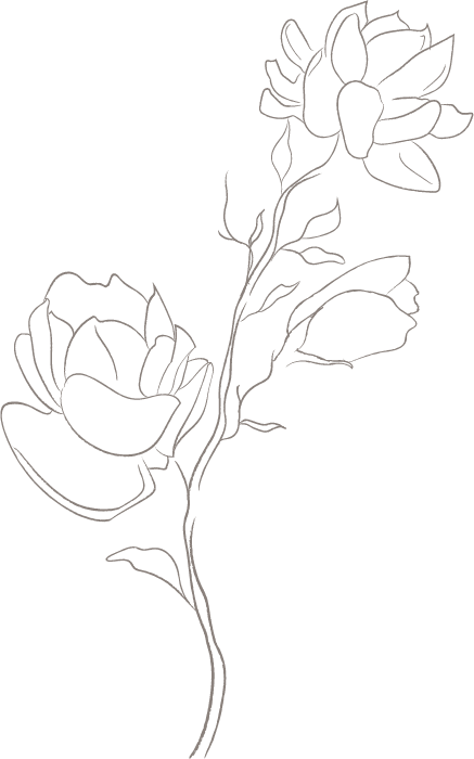 Flores de jazmin